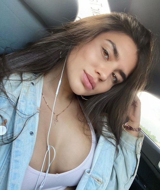 bearwolf godzilla - valeriya bearwolf 3